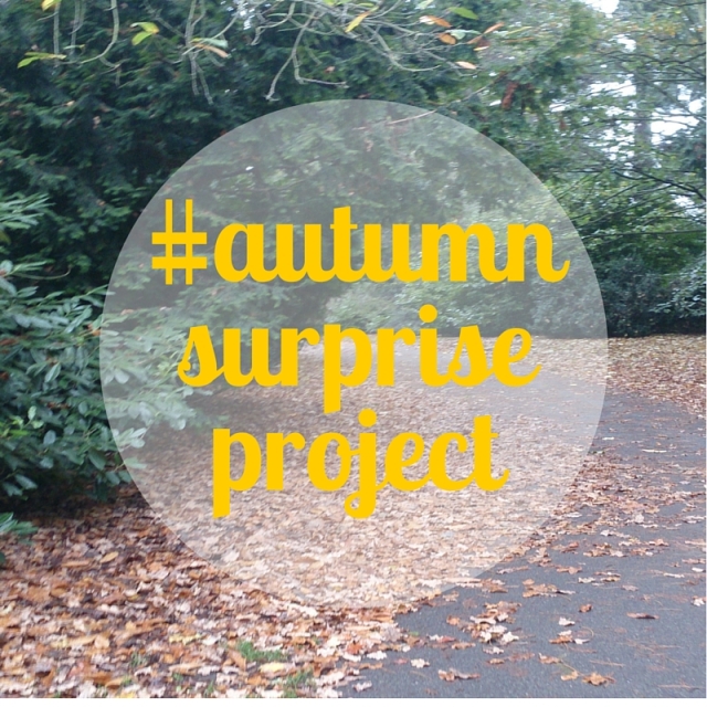 Autumnsurpriseproject title